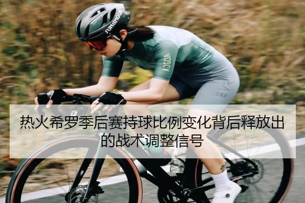 热火希罗季后赛持球比例变化背后释放出的战术调整信号